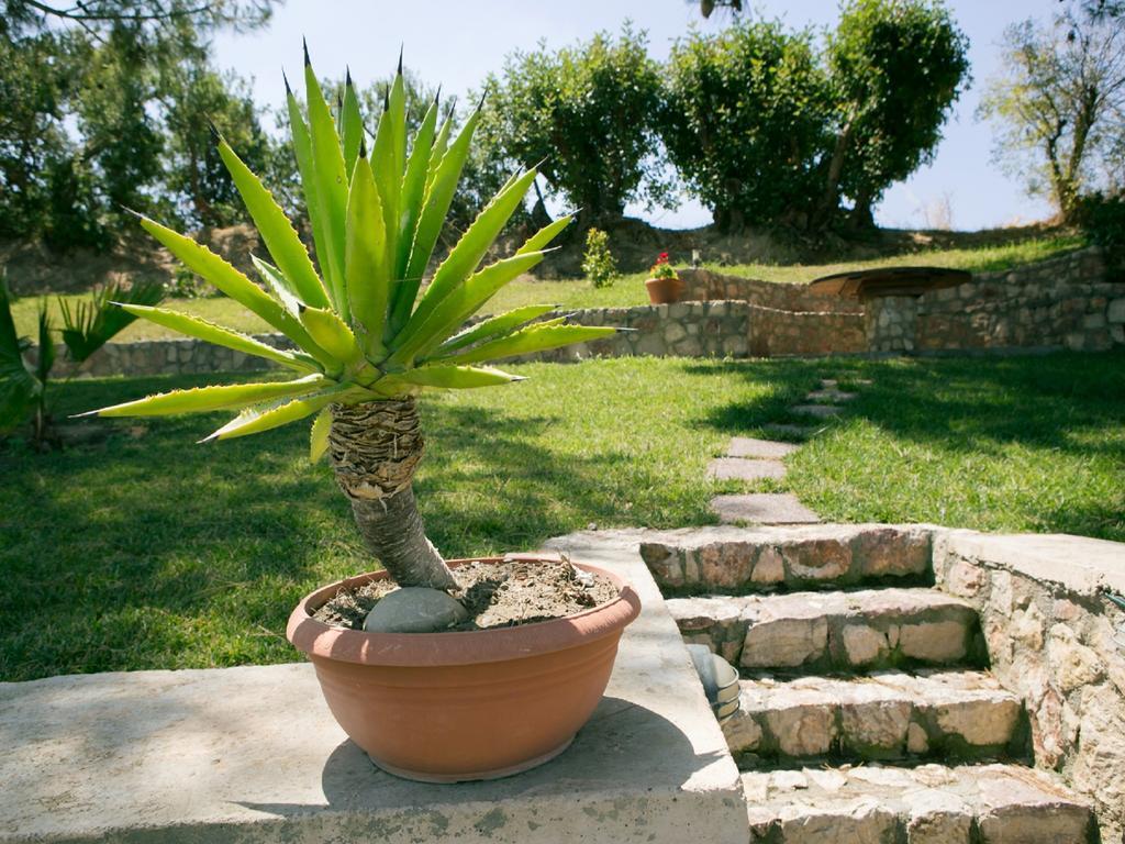 Villa Russelia Kalavárda Exterior foto